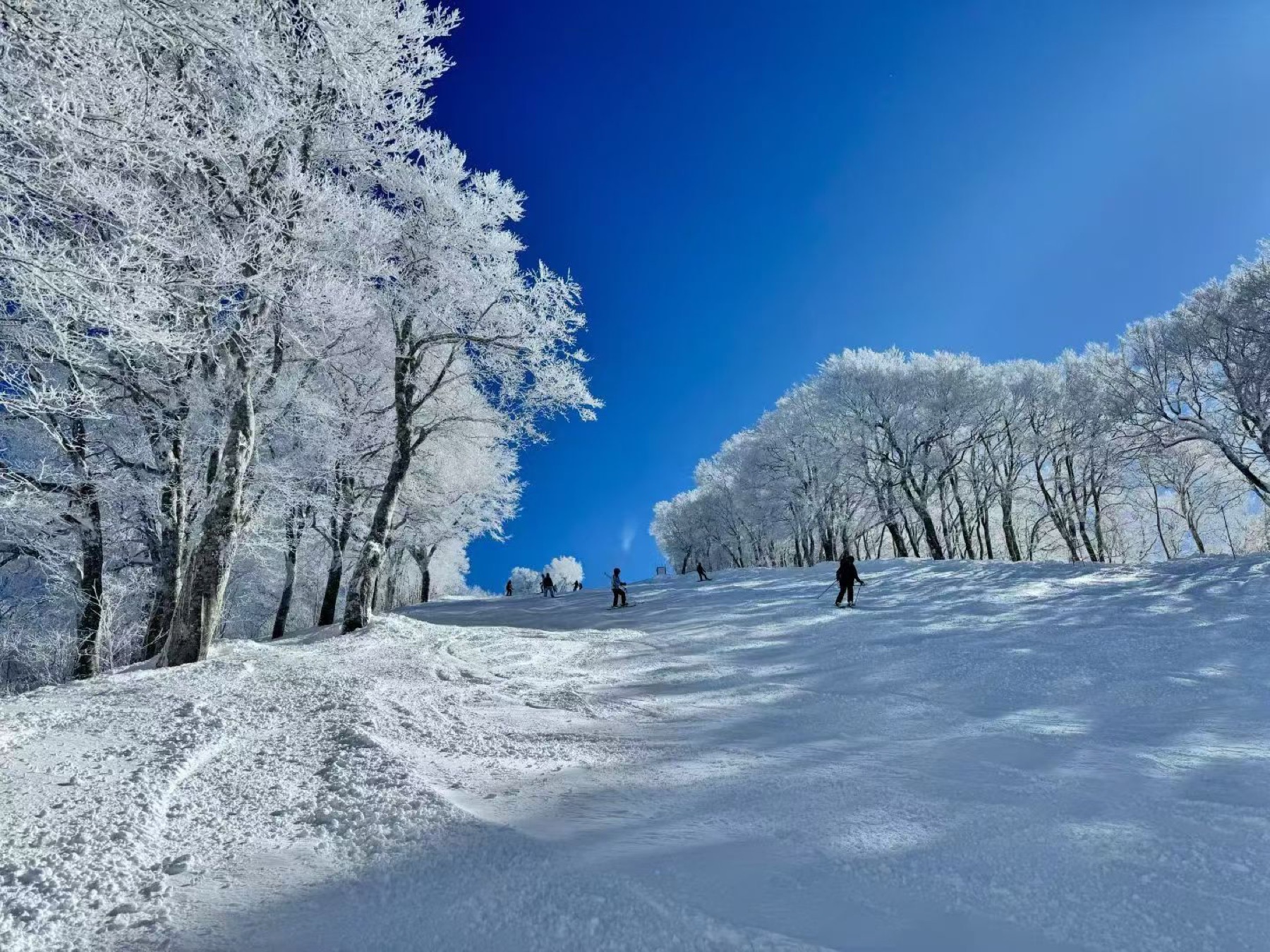 X-JAM Takaifuji ski area